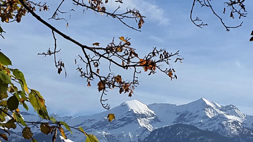 Oase Zum Sein Apartment Spiez Bagian luar foto