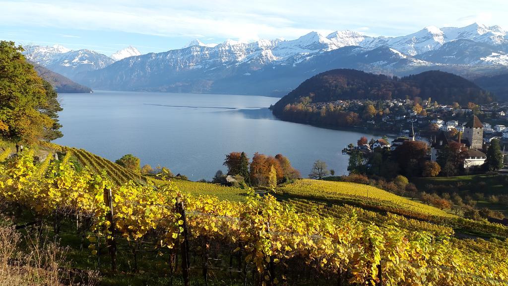 Oase Zum Sein Apartment Spiez Bagian luar foto